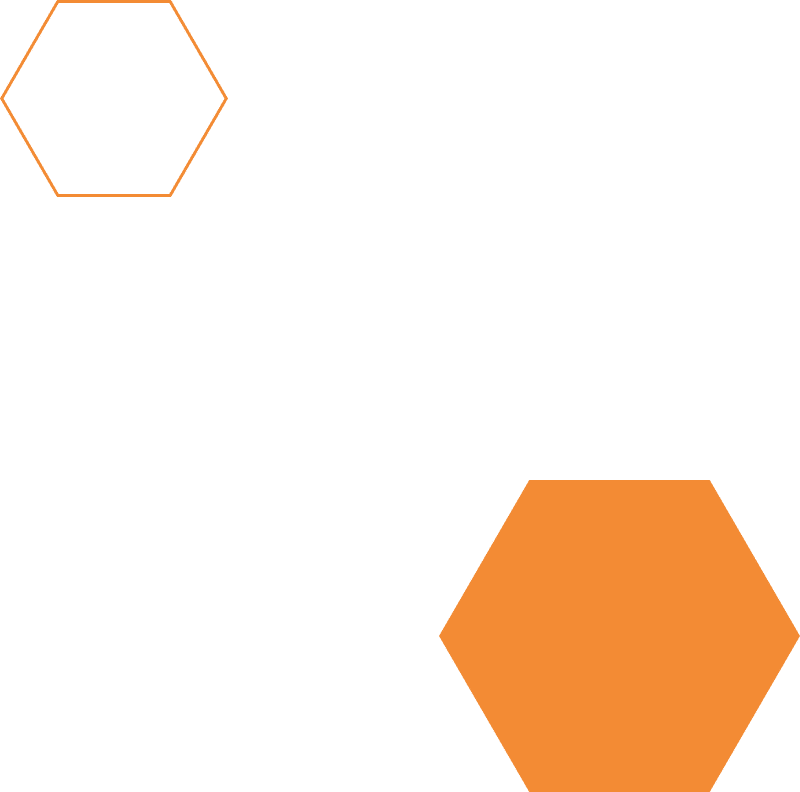 Platform 24 logo